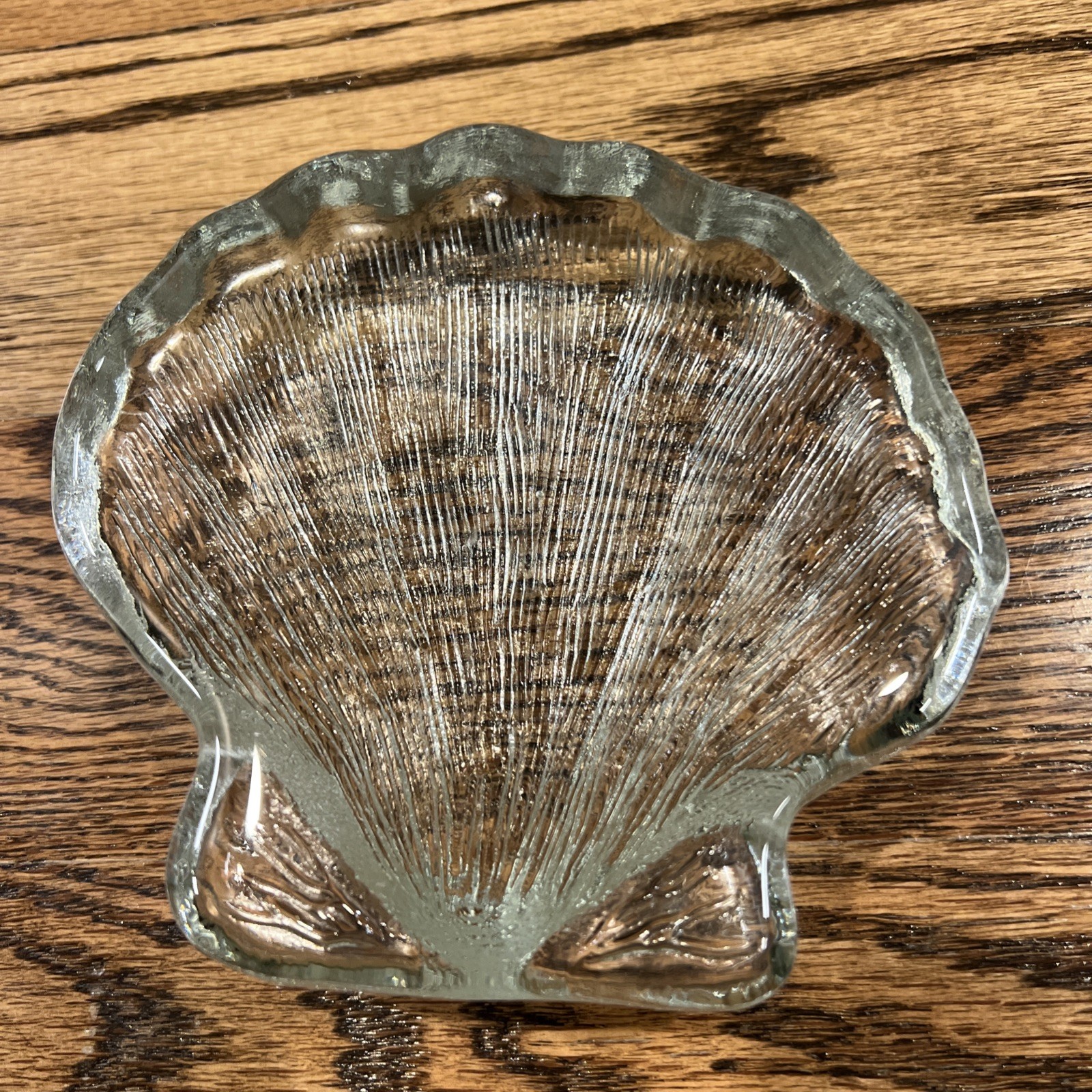 Solid Glass Scallop Sea Shell Paperweight 5”x5” x1” weighs 1 lb 9 oz No Damage