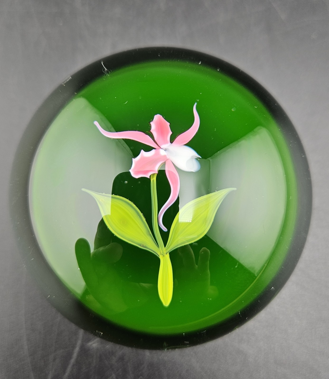 Paul Stankard Blooming Orchid Paperweight Signed Dated 1974 #71 Of 75 Limited
