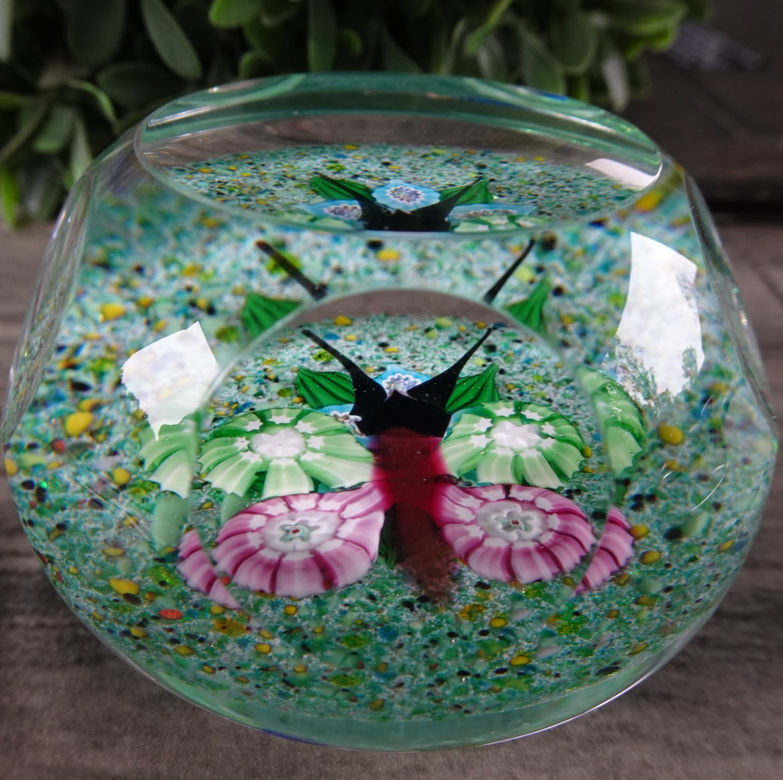 John Deacons Studio Art Glass Millefiori Butterfly Faceted Paperweight JD CD