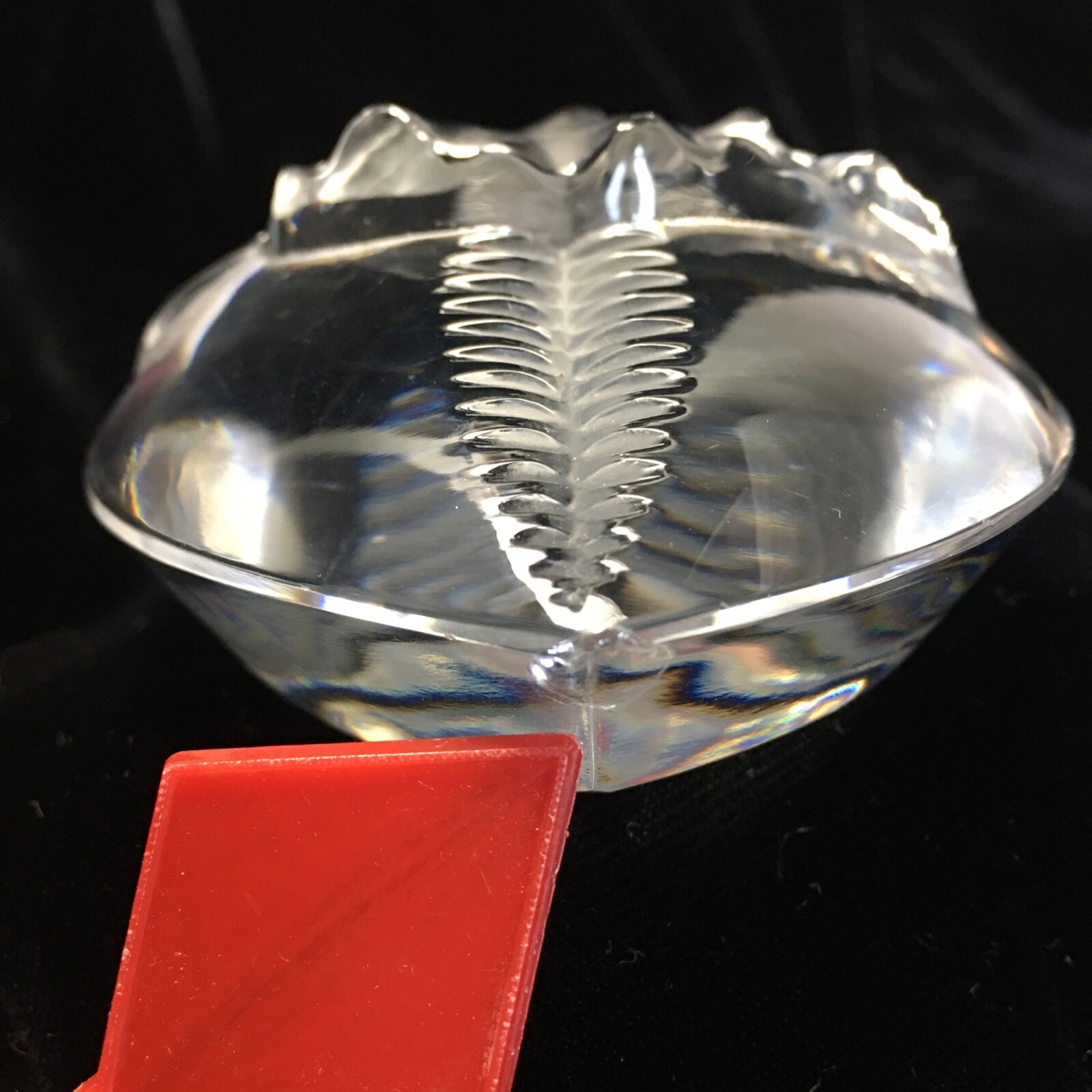 LALIQUE France VINCENNES Leaf Oval Clear CRYSTAL Paperweight Vintage Has FLAW