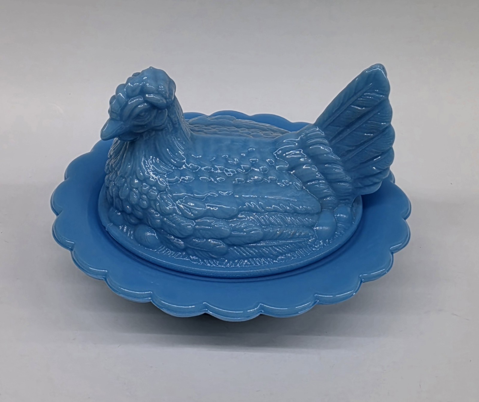 Mosser Bonnie Blue?? Hen On Nest Full Size Chicken