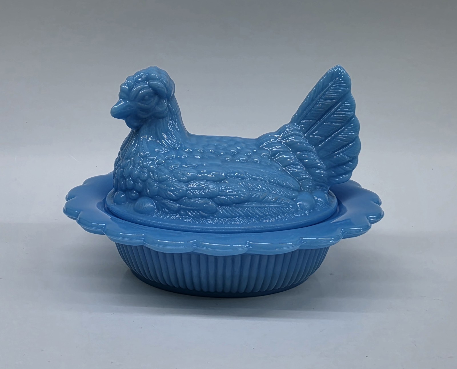 Mosser Bonnie Blue?? Hen On Nest Full Size Chicken
