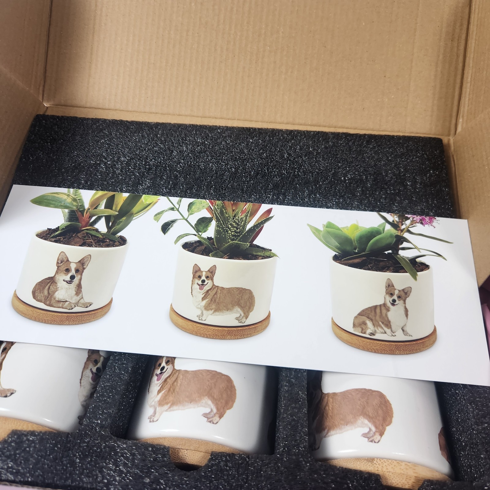 Corgi Succulent Planters Set of 3 Mini Dog Puppy Pet Ceramic Wood Gift Giftagirl