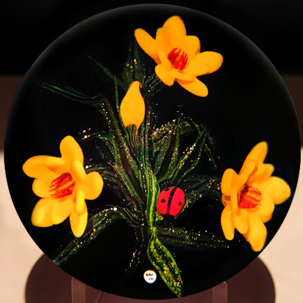 William Manson Wildflowers On Black