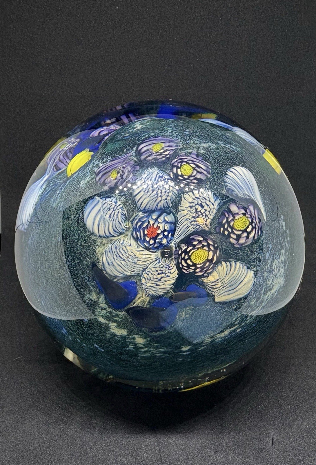 Art Glass Paperweight – Underwater Ocean Orb (Fish) – Heavy / Solid / Handblown