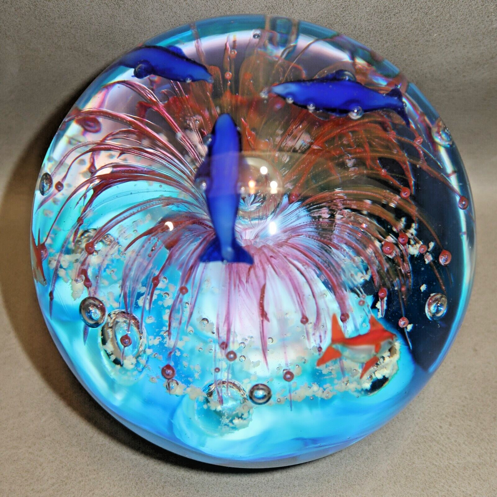 Fish & Dolphin Underwater Sea Aquarium Large 4.5″ Paperweight Glow in Dark