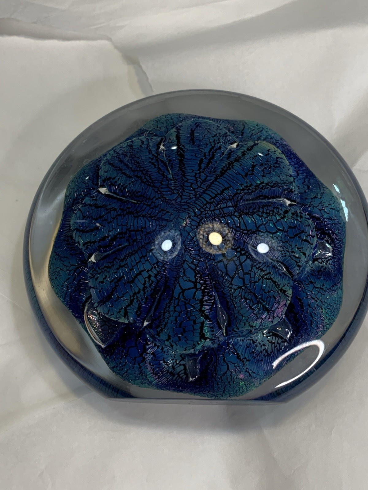 Robert Eickholt Signed 1982 Art Glass Paperweight Round Flat Sculpture Blue 4”
