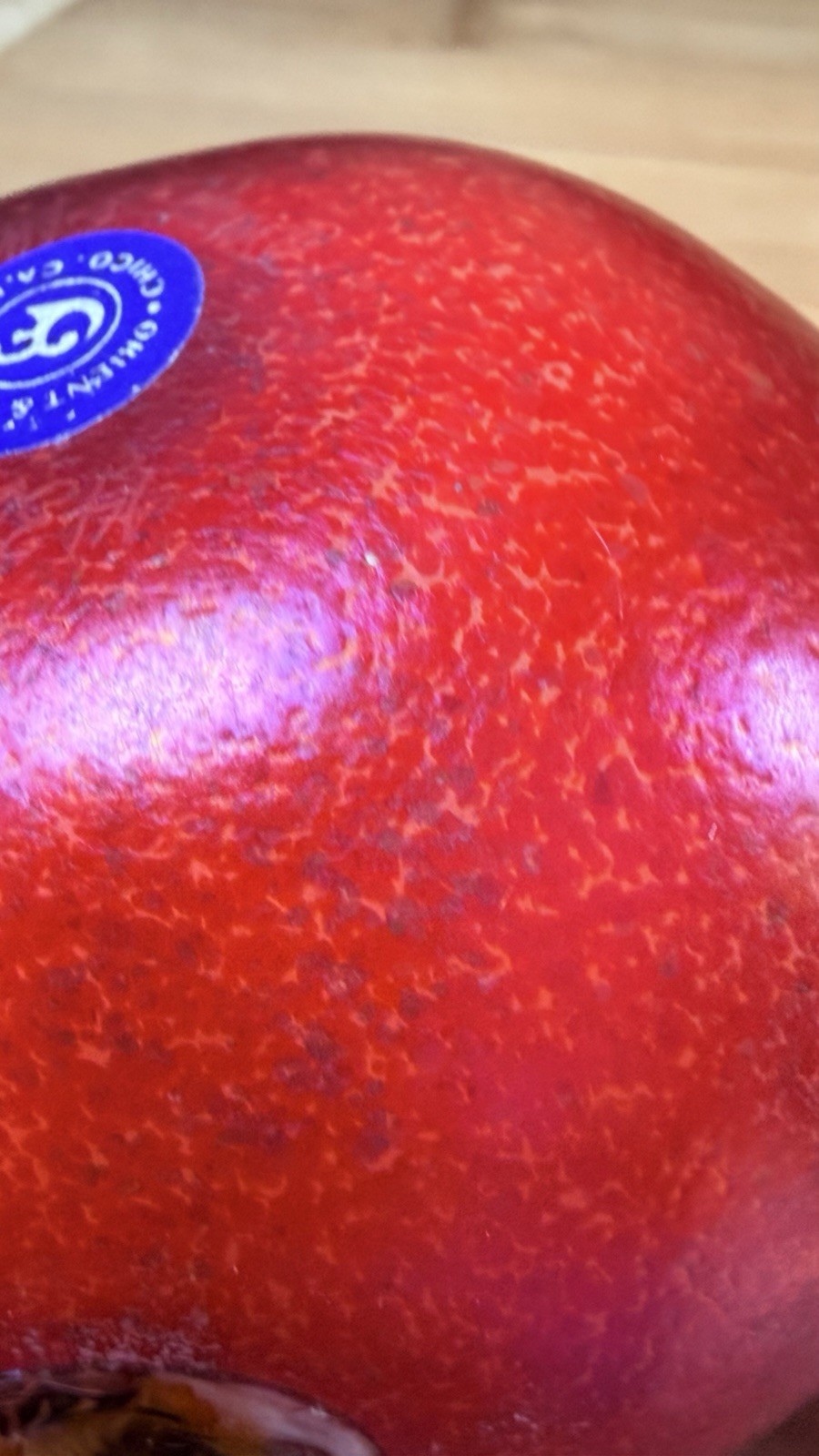 Orient & Flume Signed Art Glass Pomegranate Paperweight Original Sticker