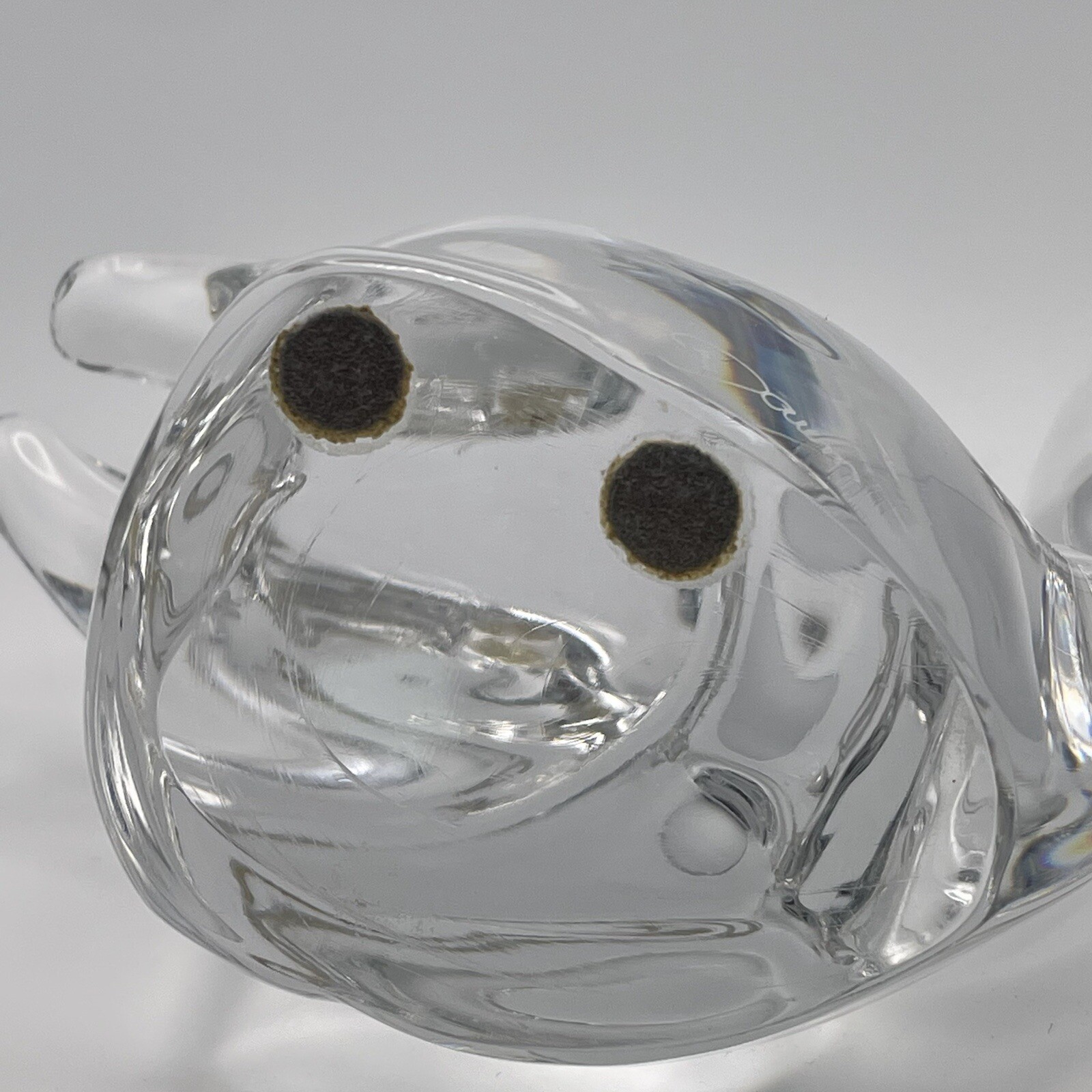 Daum France Clear Crystal Glass Squirrel Paperweight Signed 6” See Photos ✨
