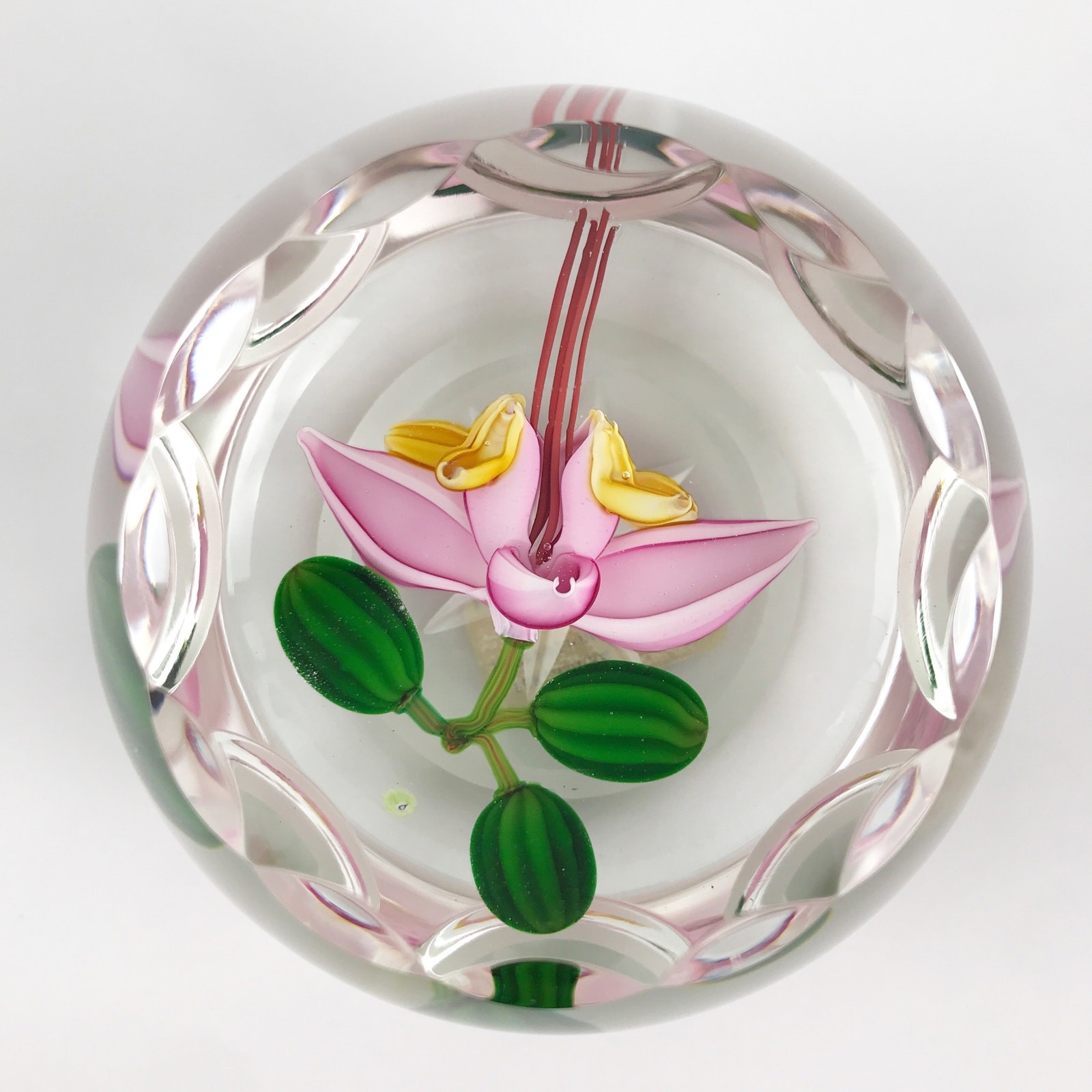 Perthshire 1987C Theobroma Cacao Flower Scallop Faceted Lampwork Paperweight COA