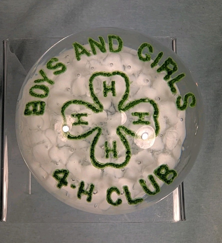 VTG 4-H Paperweight John Gentile Glass Boys And Girls Club Advertising Frit