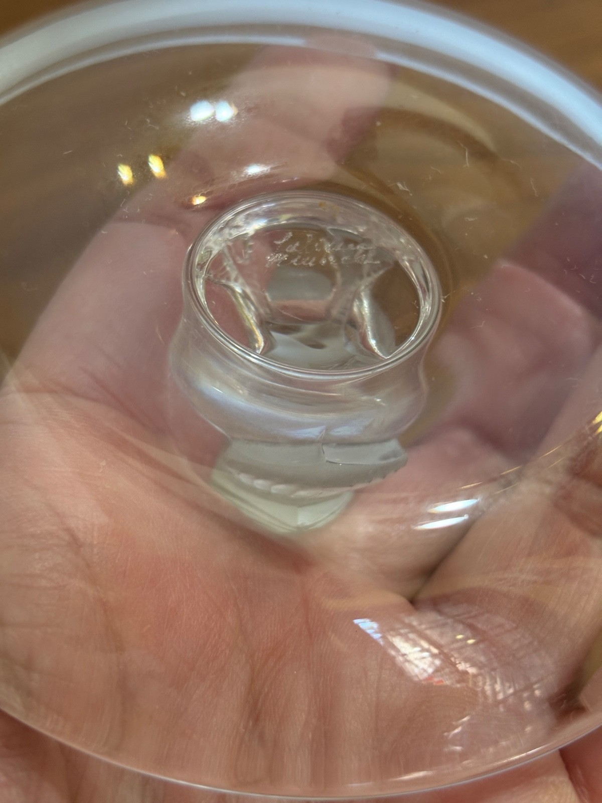 Lalique France Crystal Turtle Dove Bird Frosted Ring Trinket Dresser Signed Dish