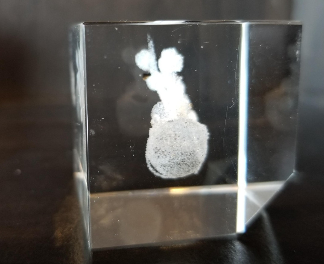 Crystal Impressions Laser Art Glass Paperweight Bouquet of Roses 1.5 inches