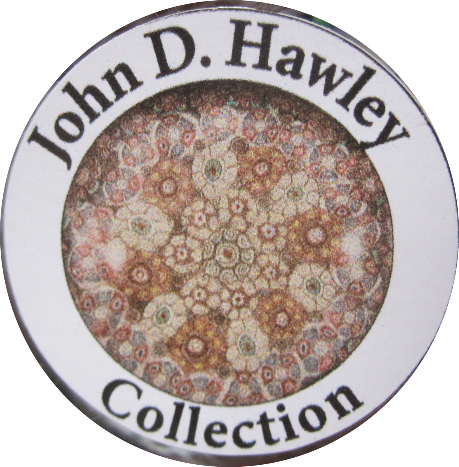 paperweight NEGC Hawley coll. rare 4 layer poinsettia or dahlia flower red