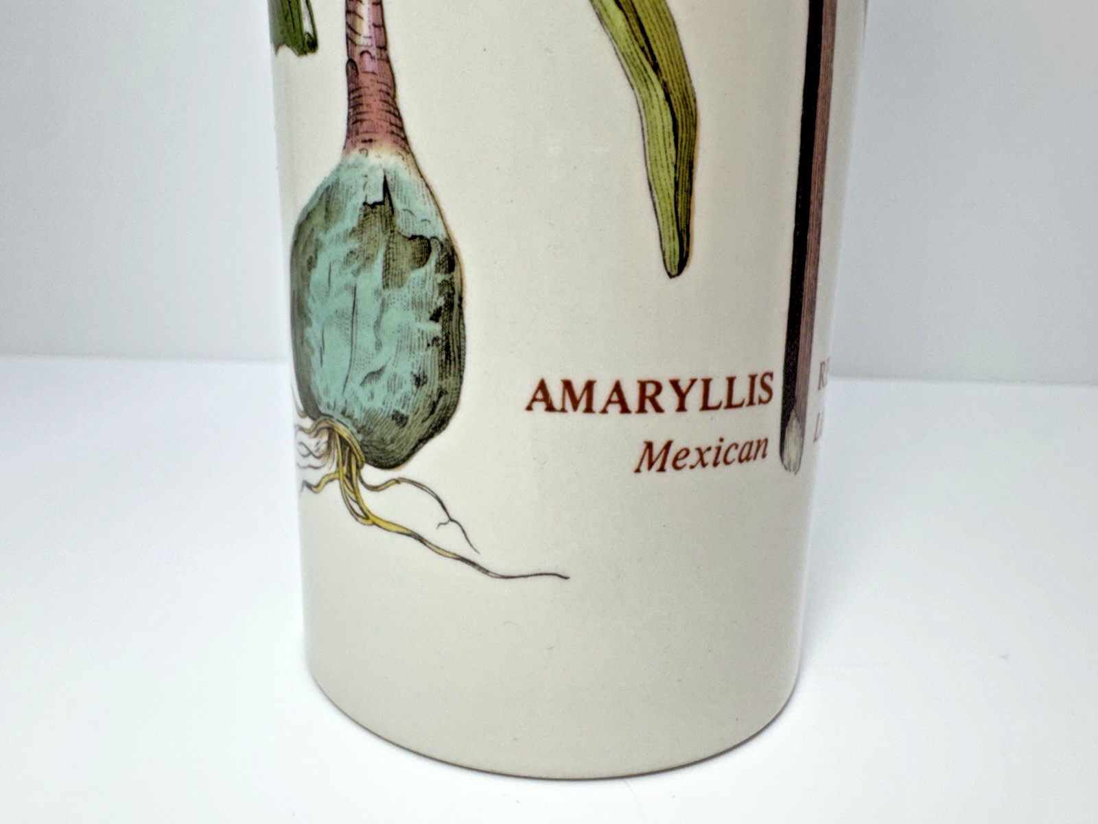 VTG Portmeirion Botanic Garden 9” Cylinder Vase AMARYLLIS Flower Moth Butterfly