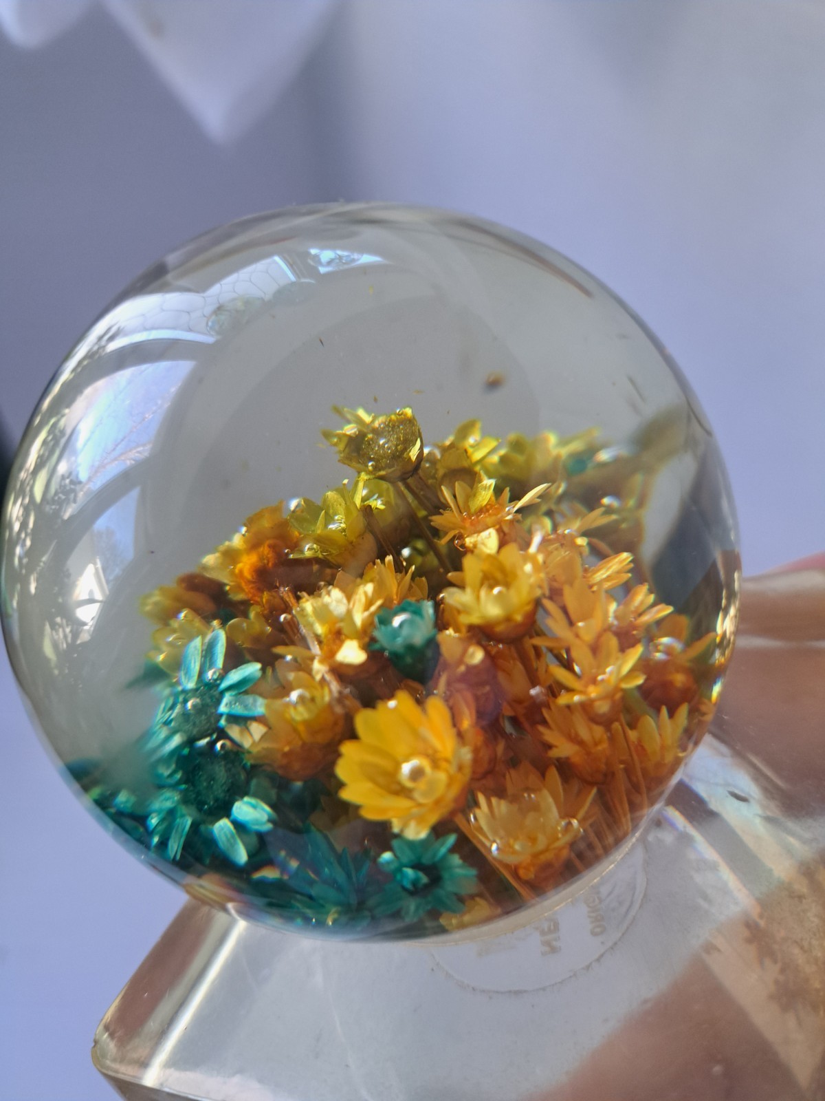 1969 New Designs Inc USA Mod Dried Flower Lucite Round Paperweight On Base