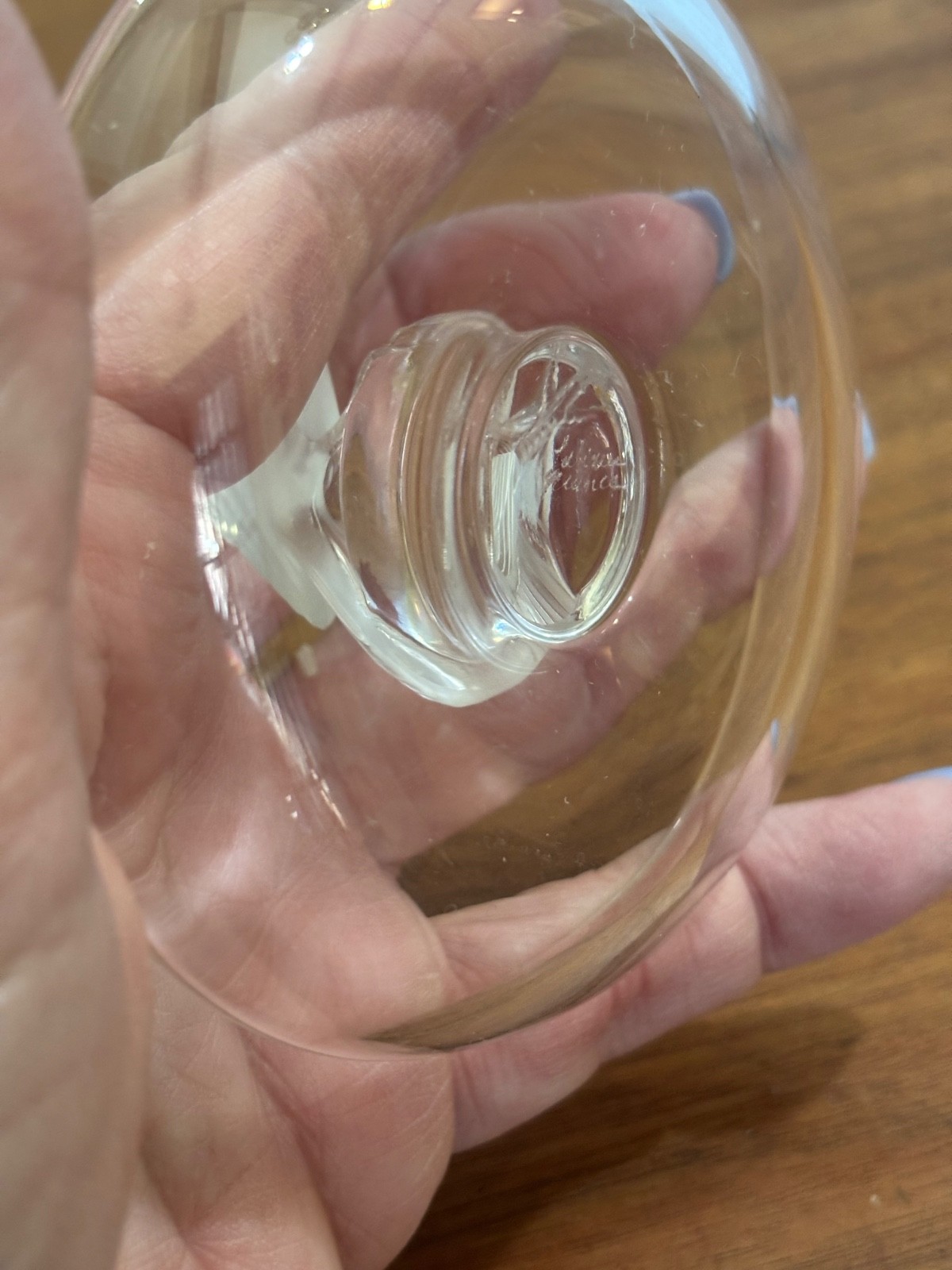 Lalique France Crystal Turtle Dove Bird Frosted Ring Trinket Dresser Signed Dish