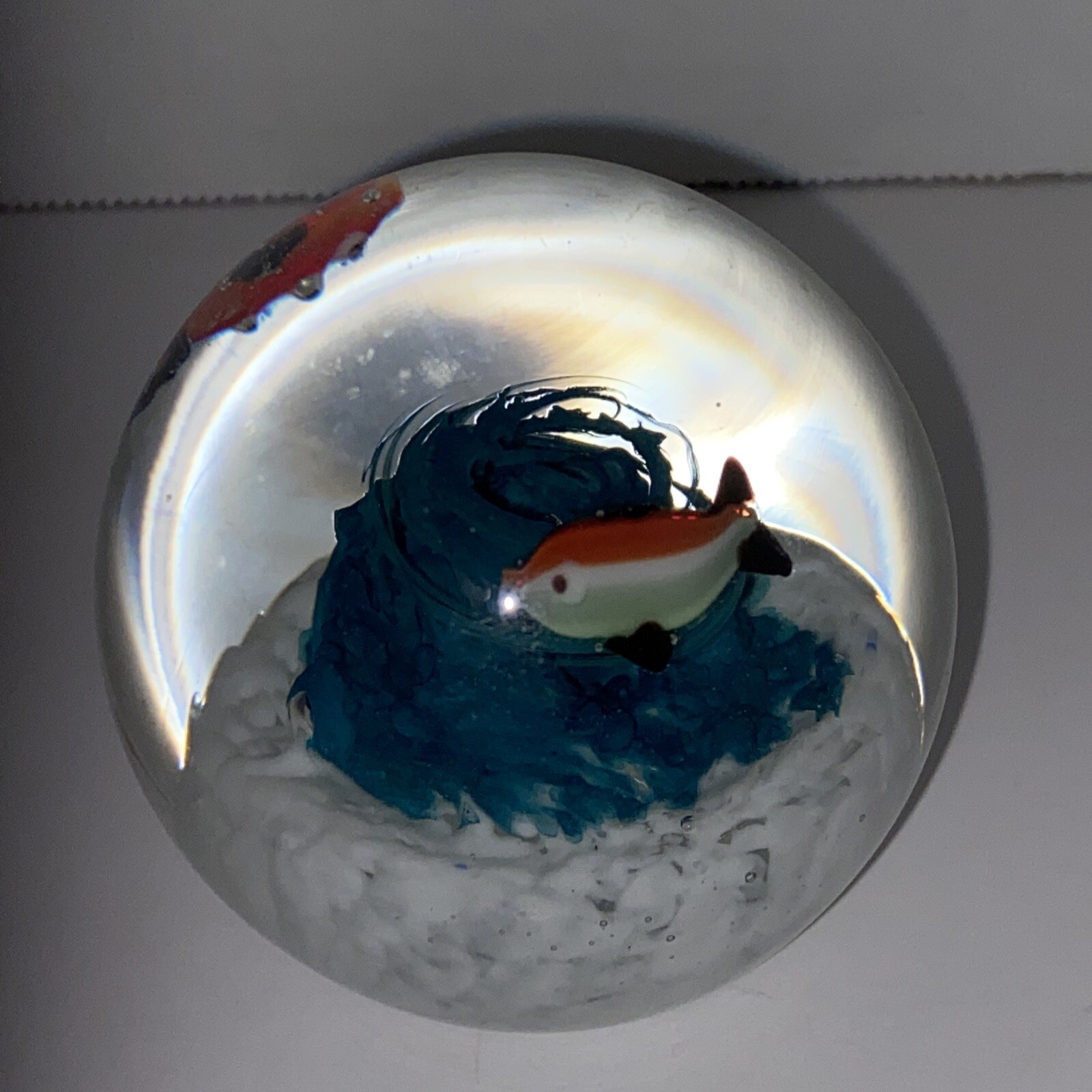 Art Glass Paperweight Round Ocean Coral Fish Red White Blue Aquarium Water C2