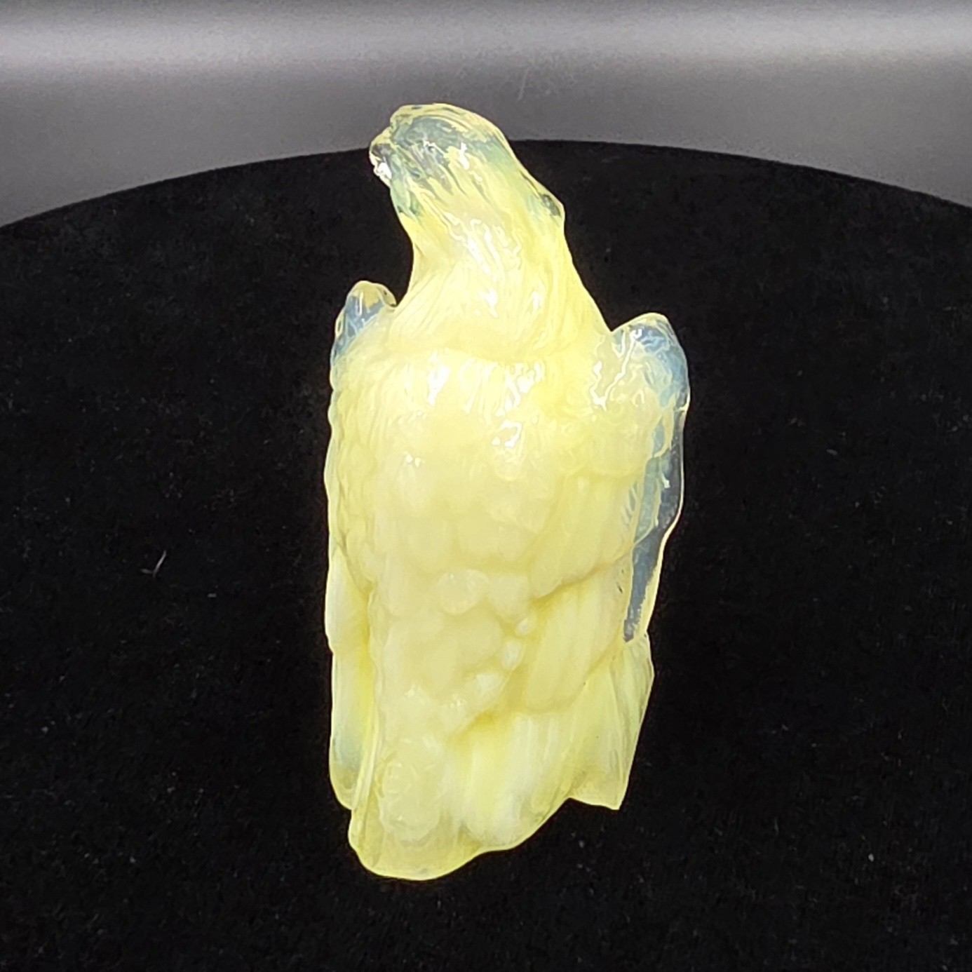 GLOWS Boyd Glass Bernie The Eagle Banana Cream 4th 5 Yrs (1993-98) 2.5″ Cadmium