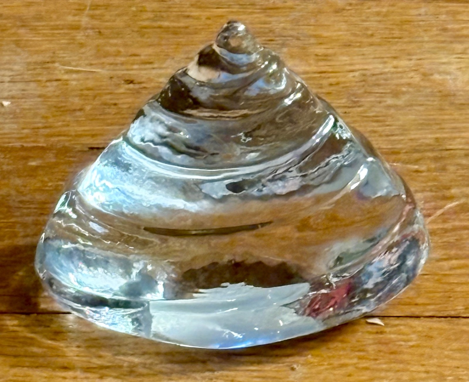 Clear Glass Abstract Tree(?) Paperweight – Beautiful in its Simplicity 3.5″