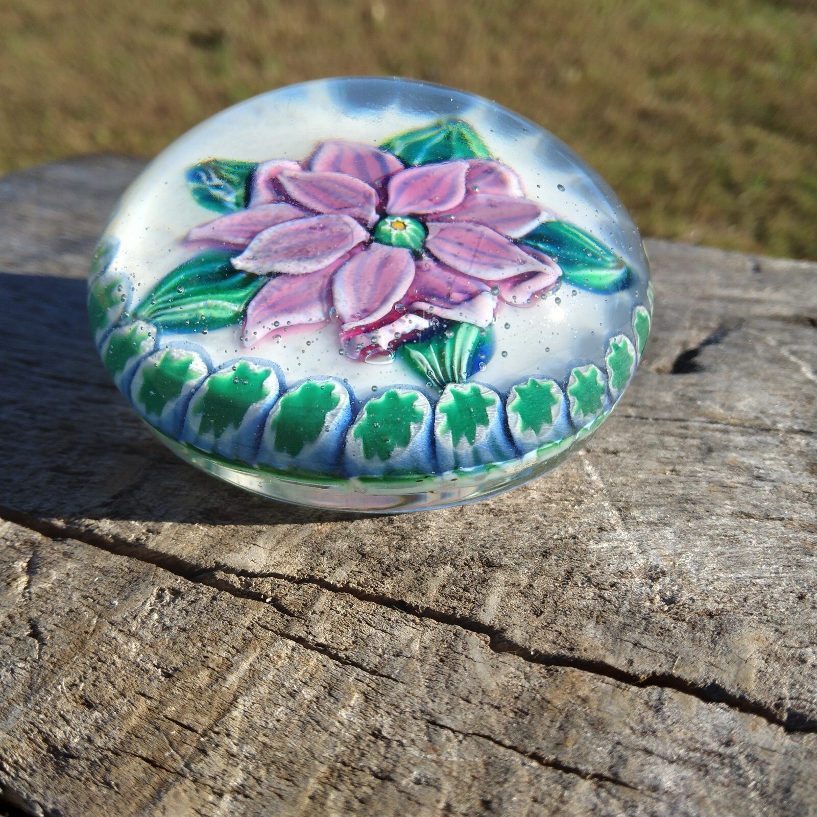 Lampwork Pink Purple Dahlia Clematis Flower Millefiori Glass Paperweight