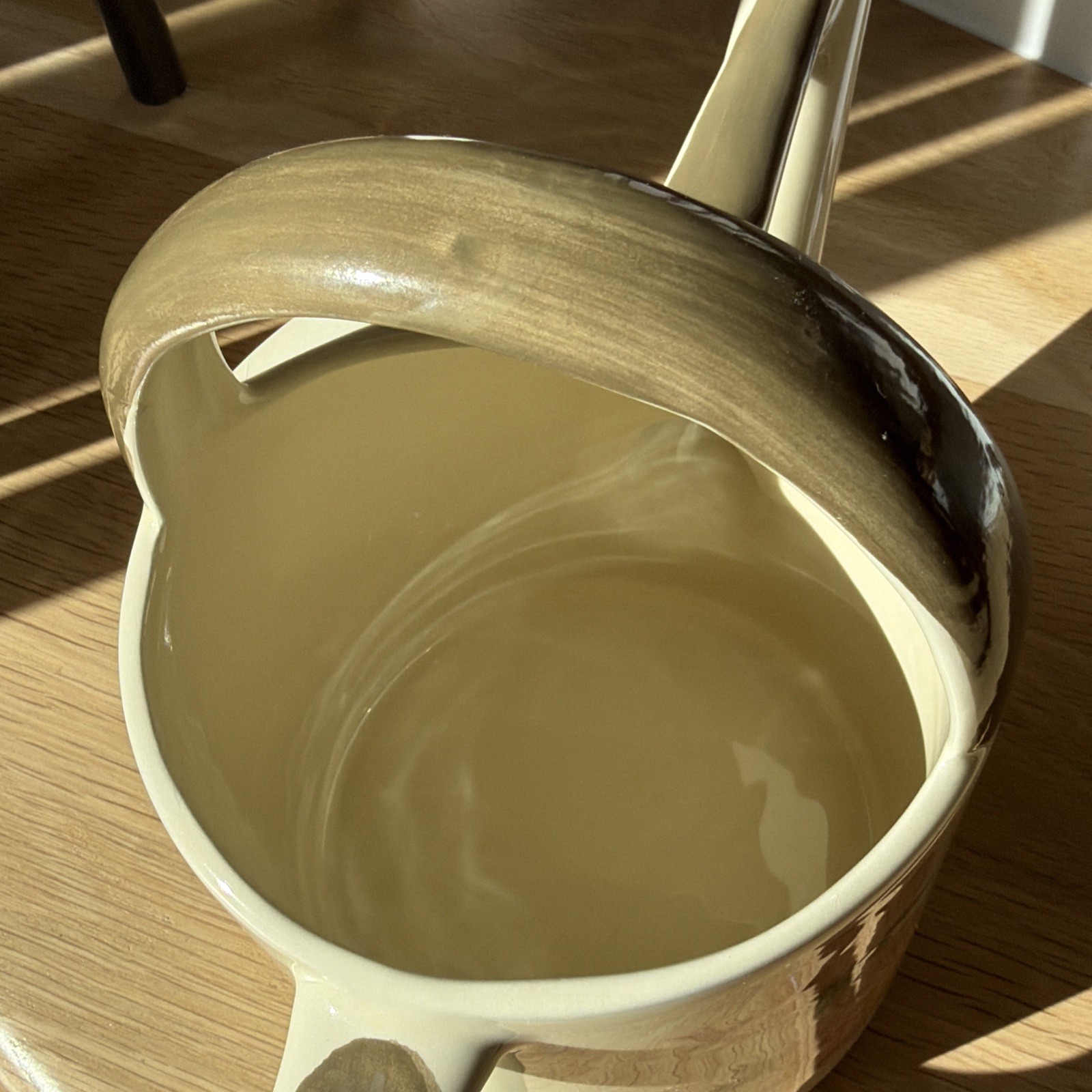 Hard to find & Rare Franciscan Desert Rose Watering Can Portugal – crazing