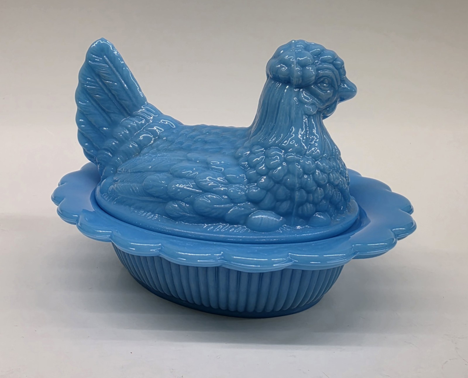 Mosser Bonnie Blue?? Hen On Nest Full Size Chicken