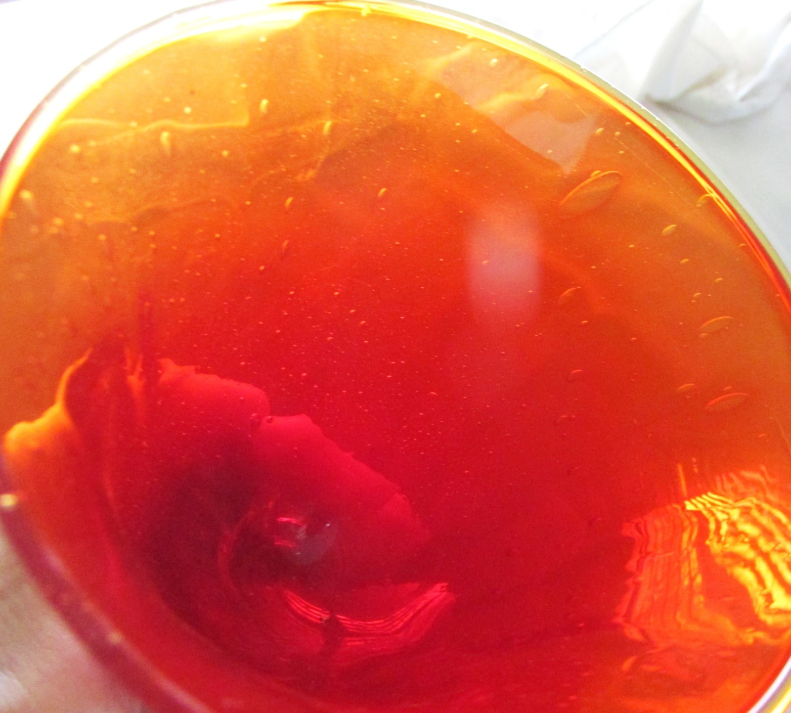 Vietri Handblown Red Bubble Glass Goblet 7 1/4 in. x 4 in.