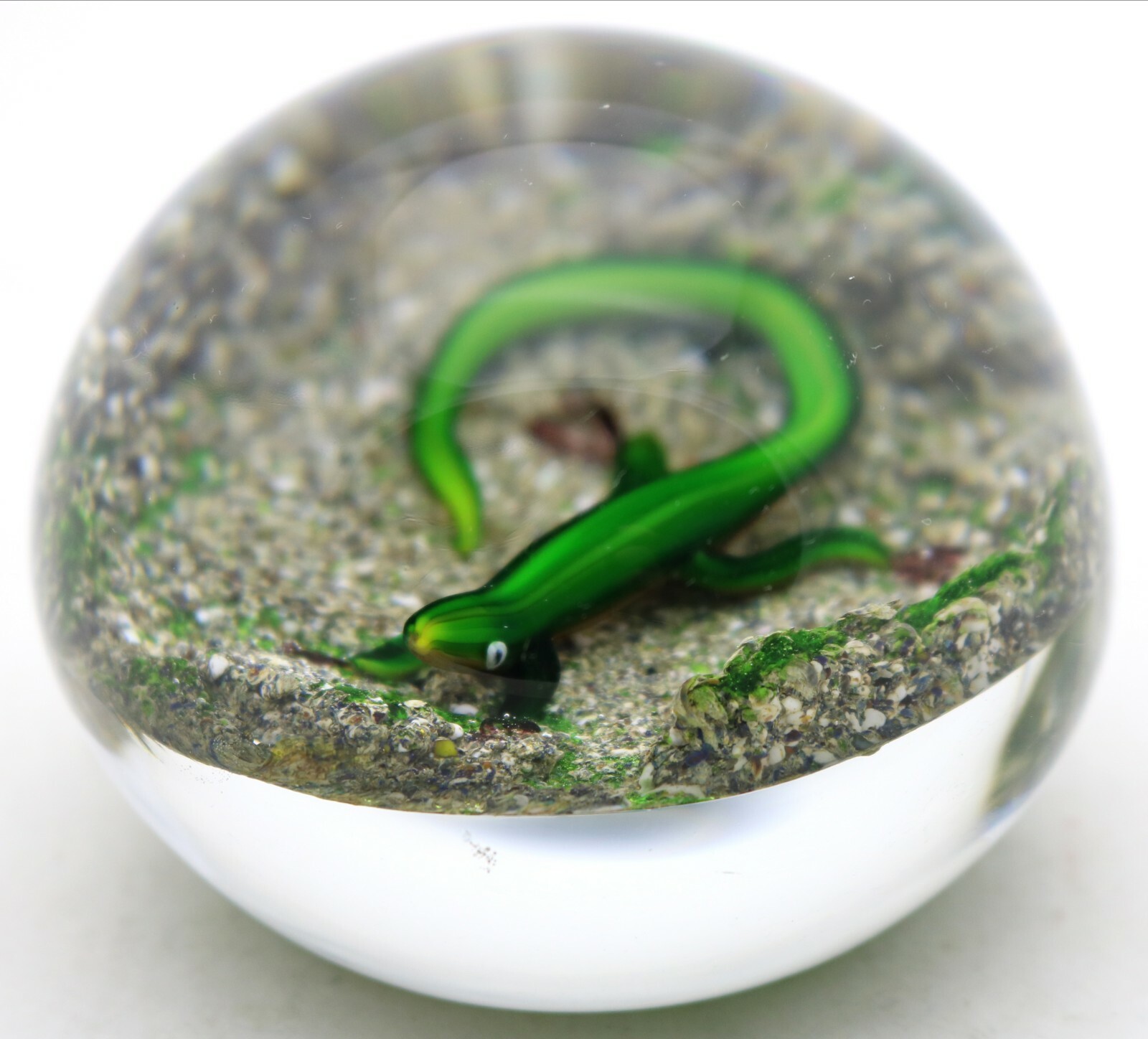 Masterful DELMO TARSITANO Vivid SALAMANDER Earth Life Art Glass PAPERWEIGHT