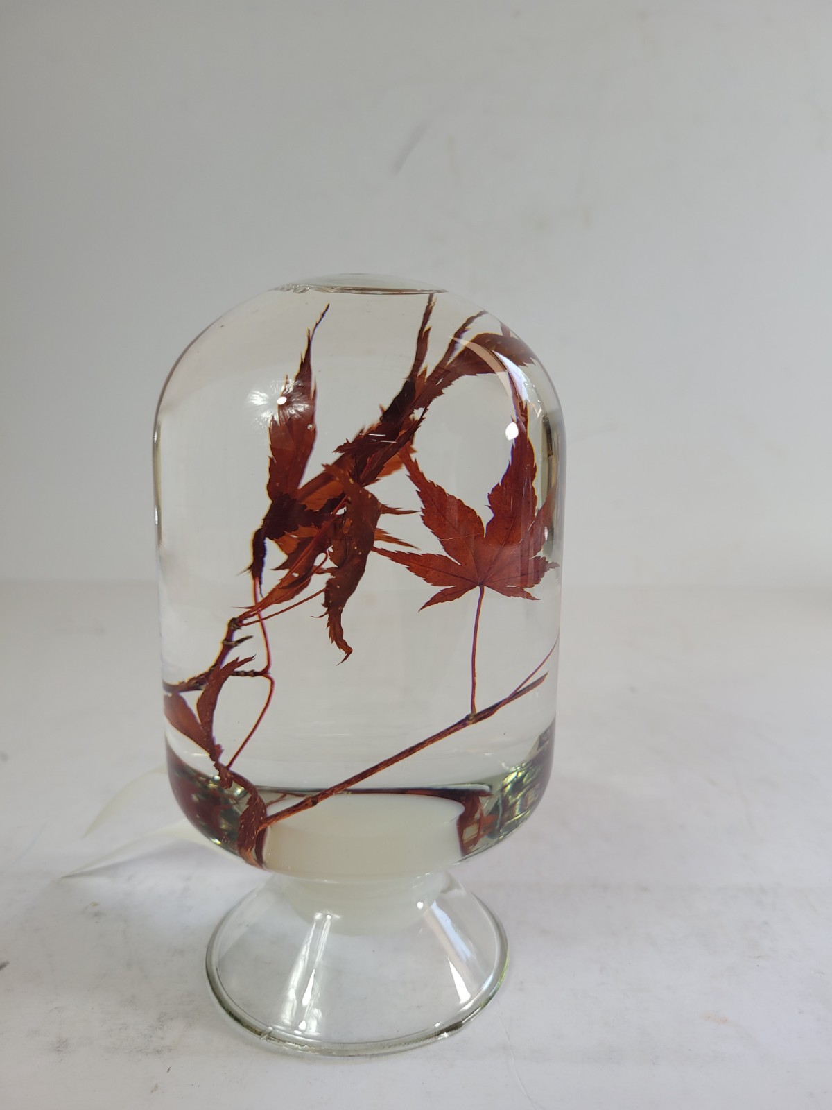 Style Jieum Pieces of Time Preserved Maple Leaf Glass Dome Paperweight