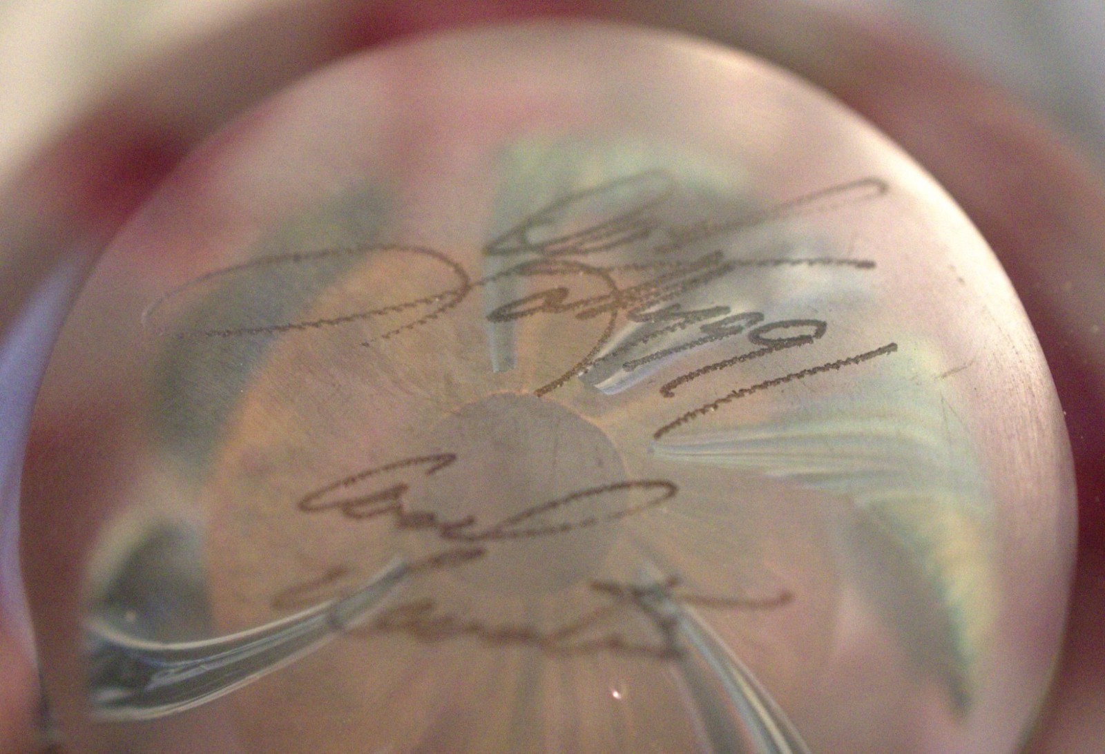 John Lotton 1991 Clematis Art Glass Paperweight Signed Pink Floral Studio Glass