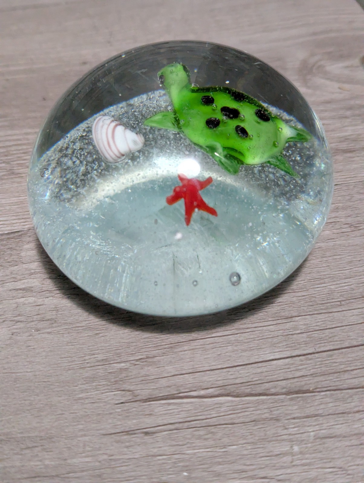 Vtg 3.5″ Art Glass Paper Weight Seascape Turtle Starfish Sea Shell Beach Decor