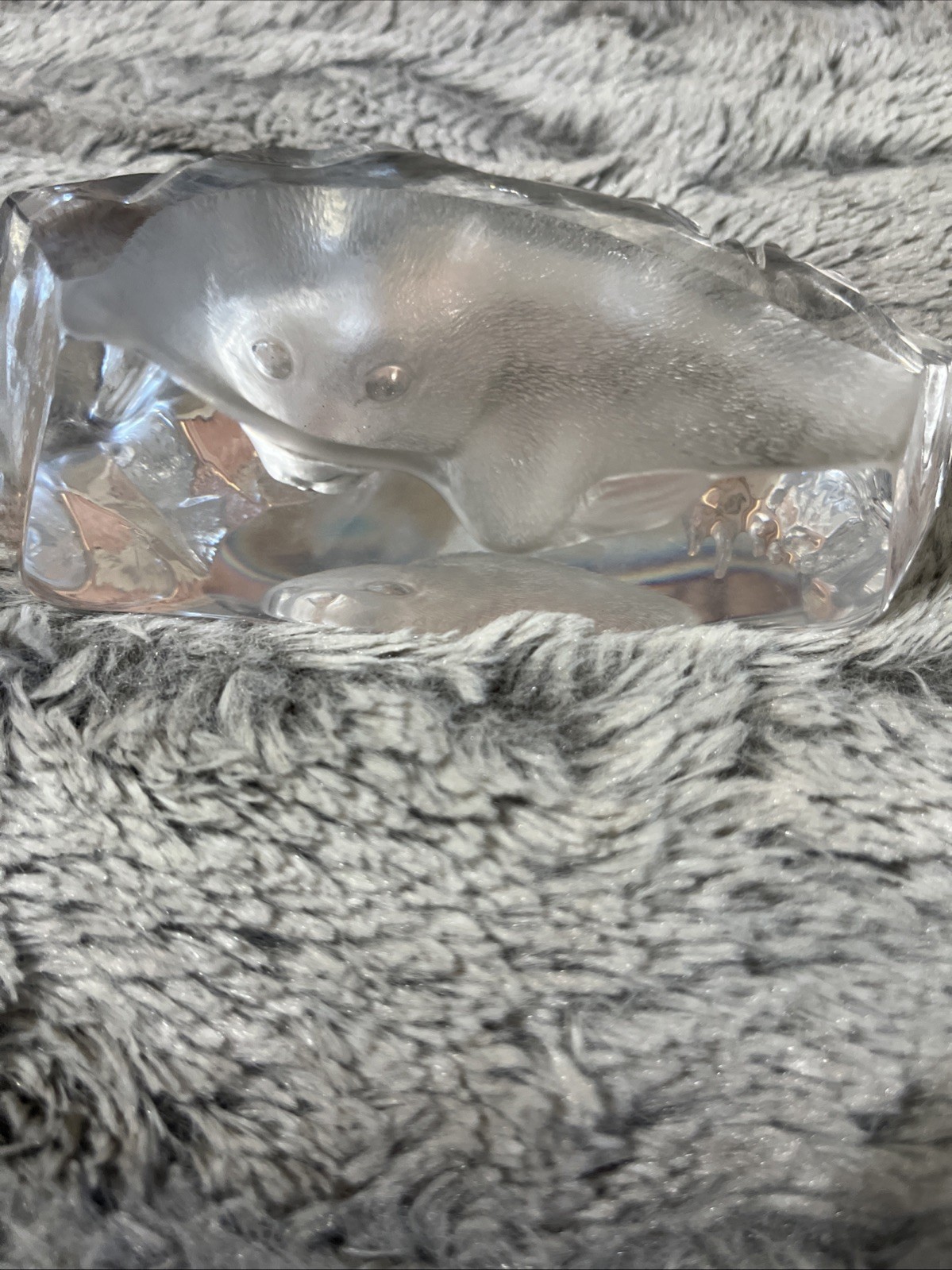 Crystal Art Glass Baby Seal Sculpture Paperweight