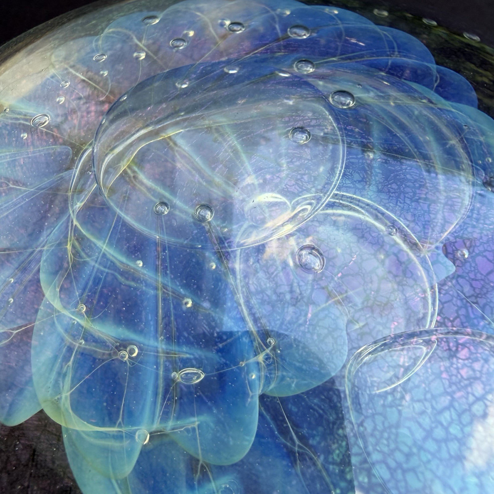 Eickholt Signed Seascape Opalescent Blue Stand-up Disc 6”x5.5 Paperweight Flower
