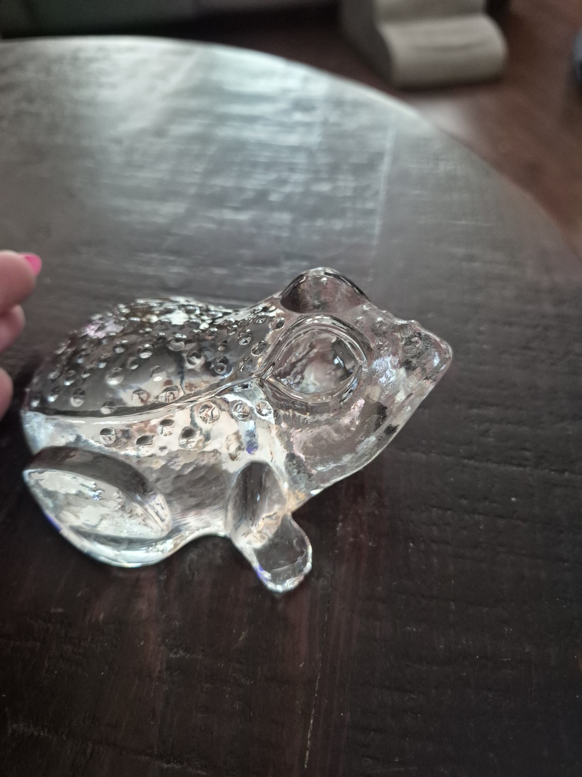 Kosta Boda Zoo Series Frog Paperweight Figurine Bertil Vallien Art Glass Sweden