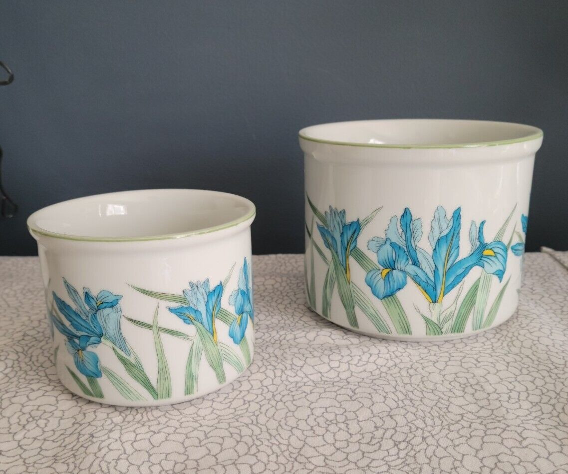 Rosenthal Netter Planters Flowers Iris