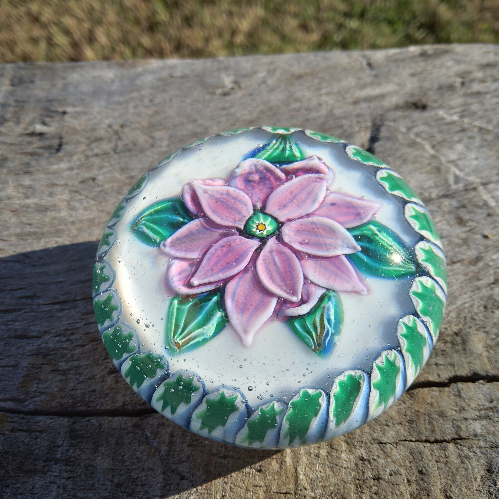 Lampwork Pink Purple Dahlia Clematis Flower Millefiori Glass Paperweight
