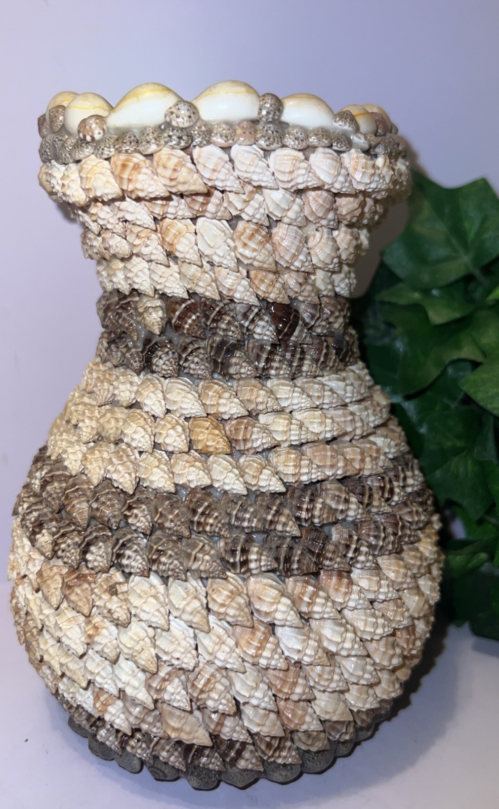 Vintage.Terra Cotta Seashell Bud Vase Handmade 6 1/2 Inches Tall 6 1/2 “ wide
