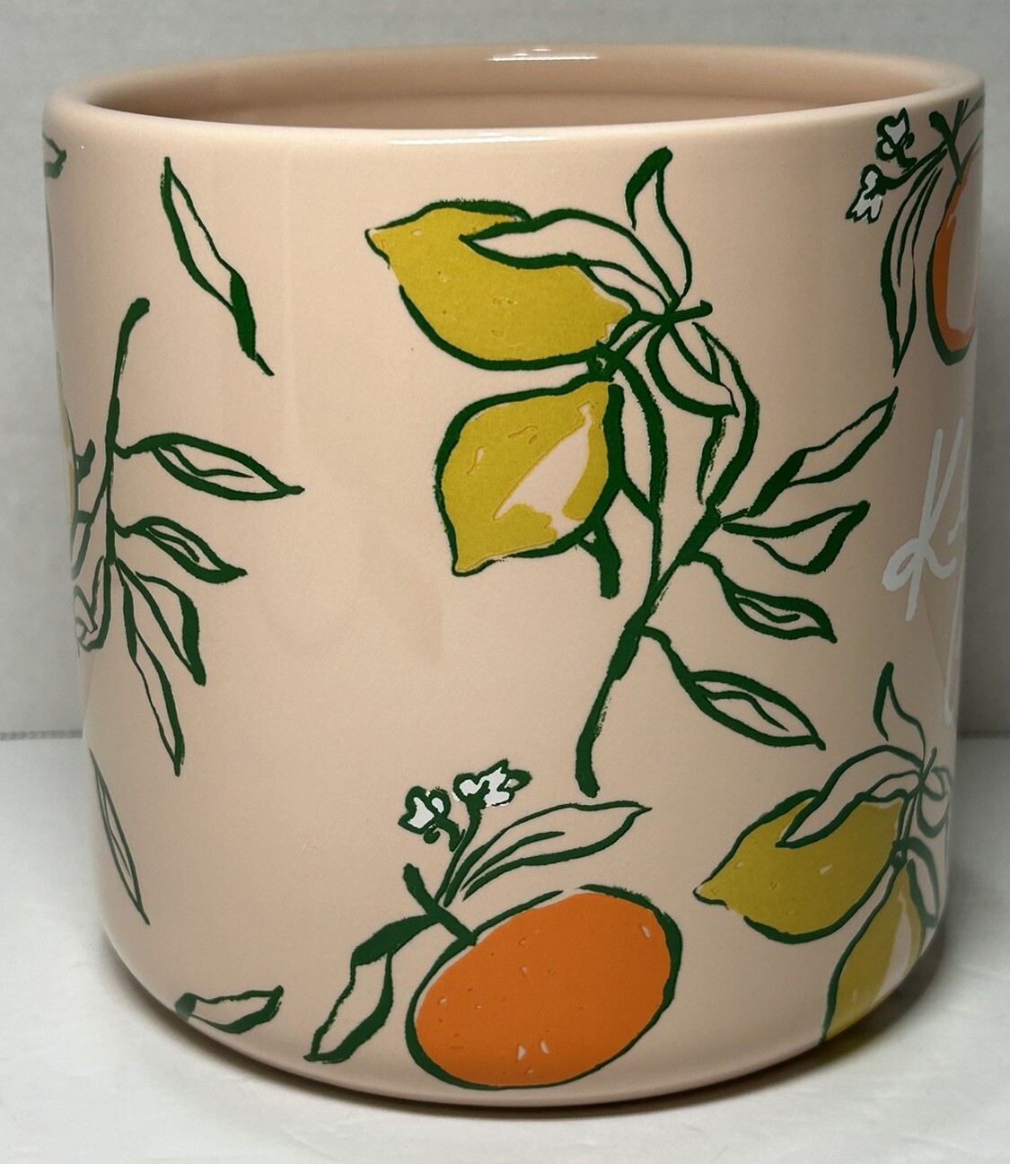 Planter “Keep Growing” Ceramic Porcelain Pink 6” x 5.5” Sonoma Southern Charm
