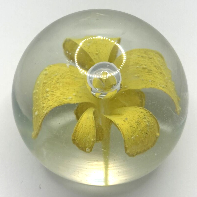 Vintage Glass Paper Weight Daffodil U258/21