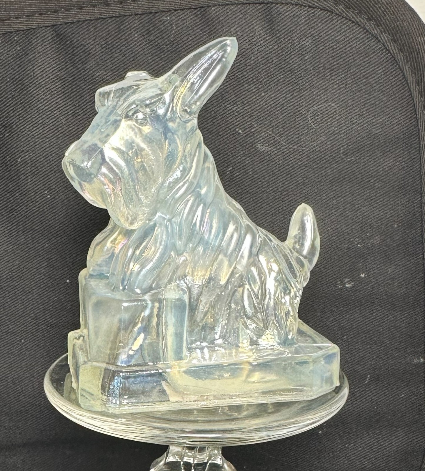 Boyd Glass JB Scottie Dog March Carnival (glows under black light)