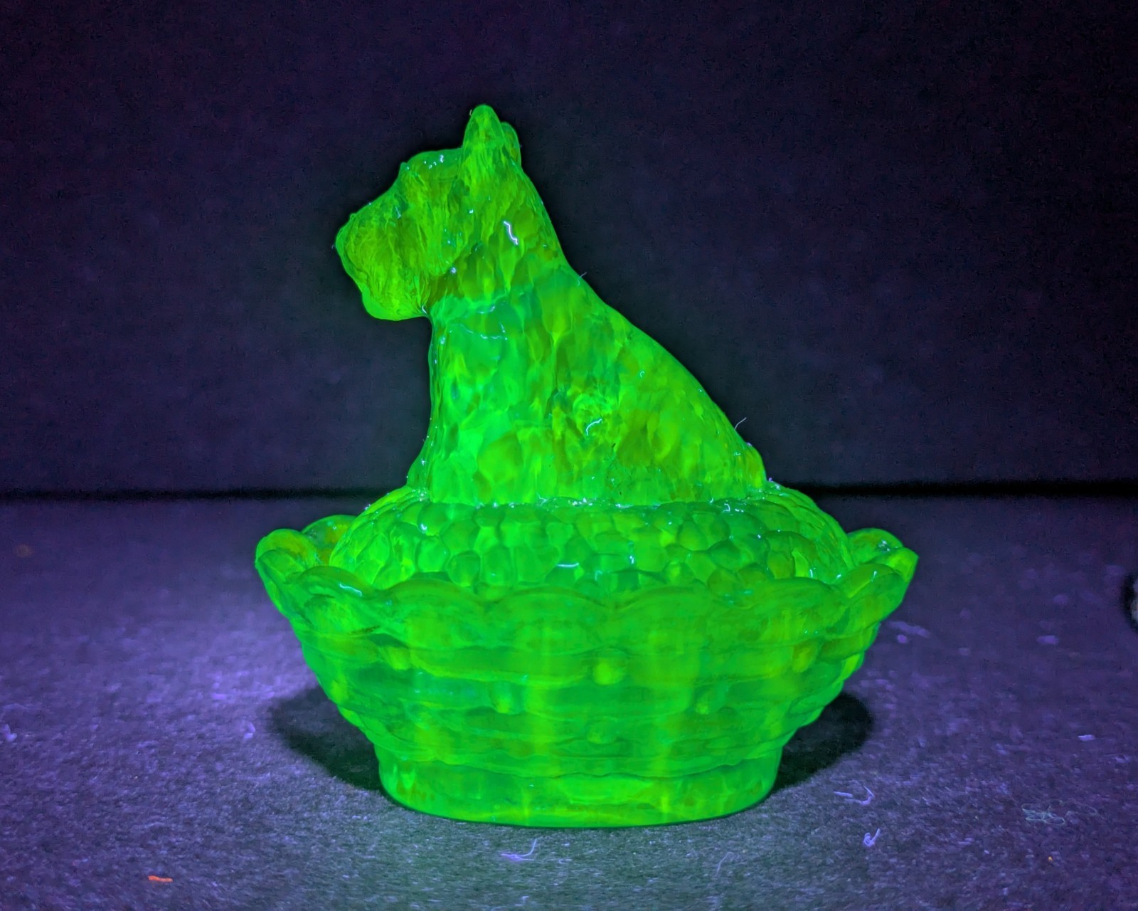 Boyd’s Crystal Art Glass Scottie Salt COBALT Uranium Glass