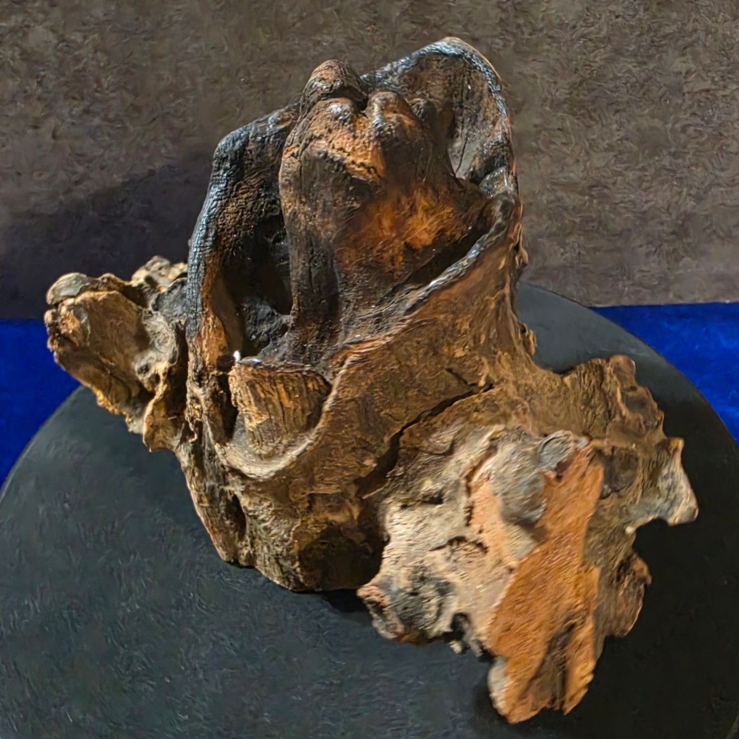 Hand Blown Molten Glass on Wood Root Base Vase 7.25″ Terrarium Planter Bali OOAK
