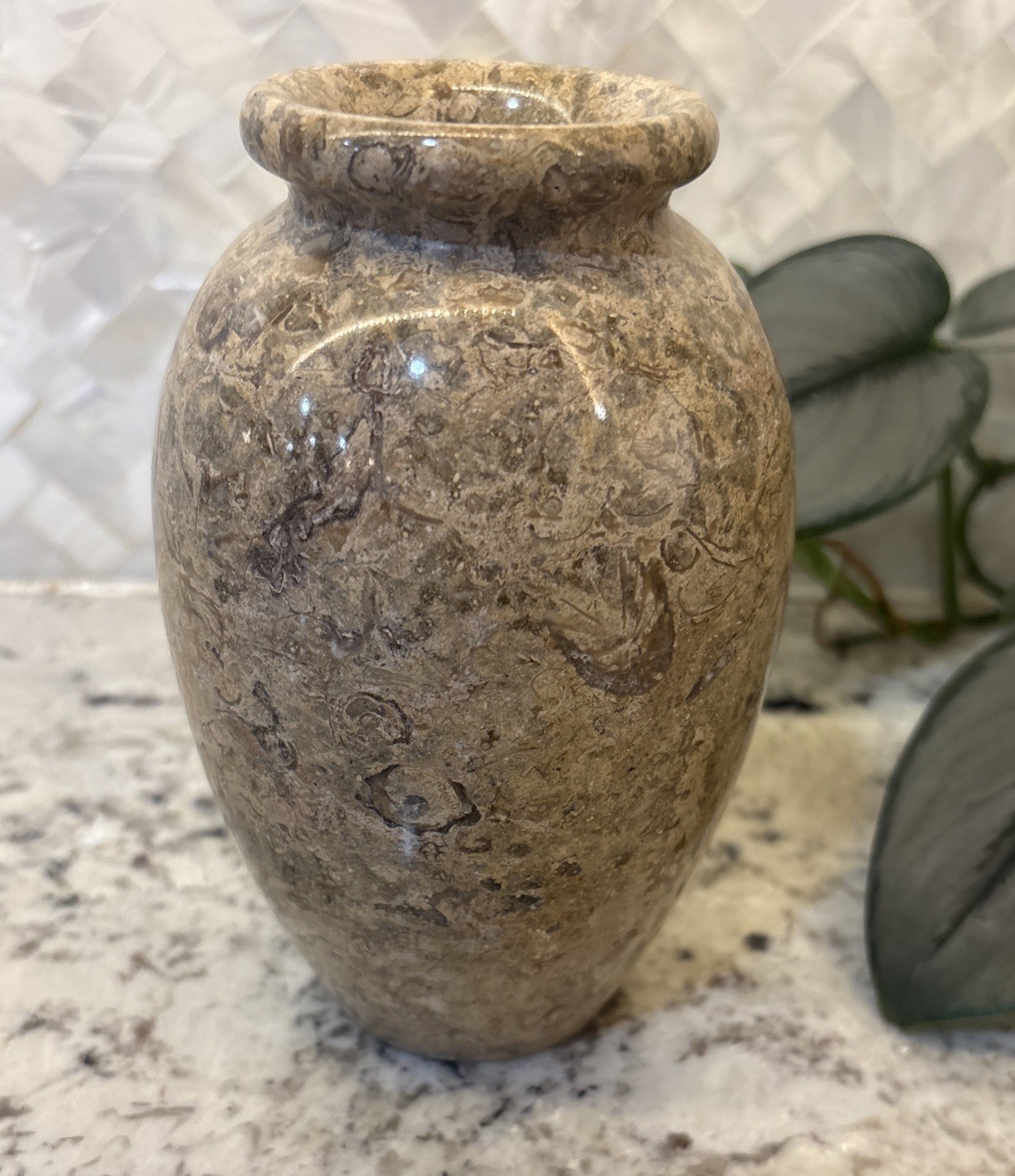 Pier One Tan Solid Stone Vase Fossilized Architectural Decor Office Brutalist