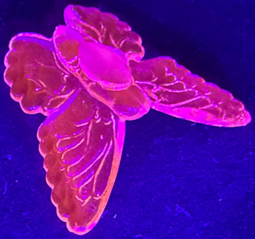 Green Vaseline glass butterfly insect monarch glow moth animal uranium selenium