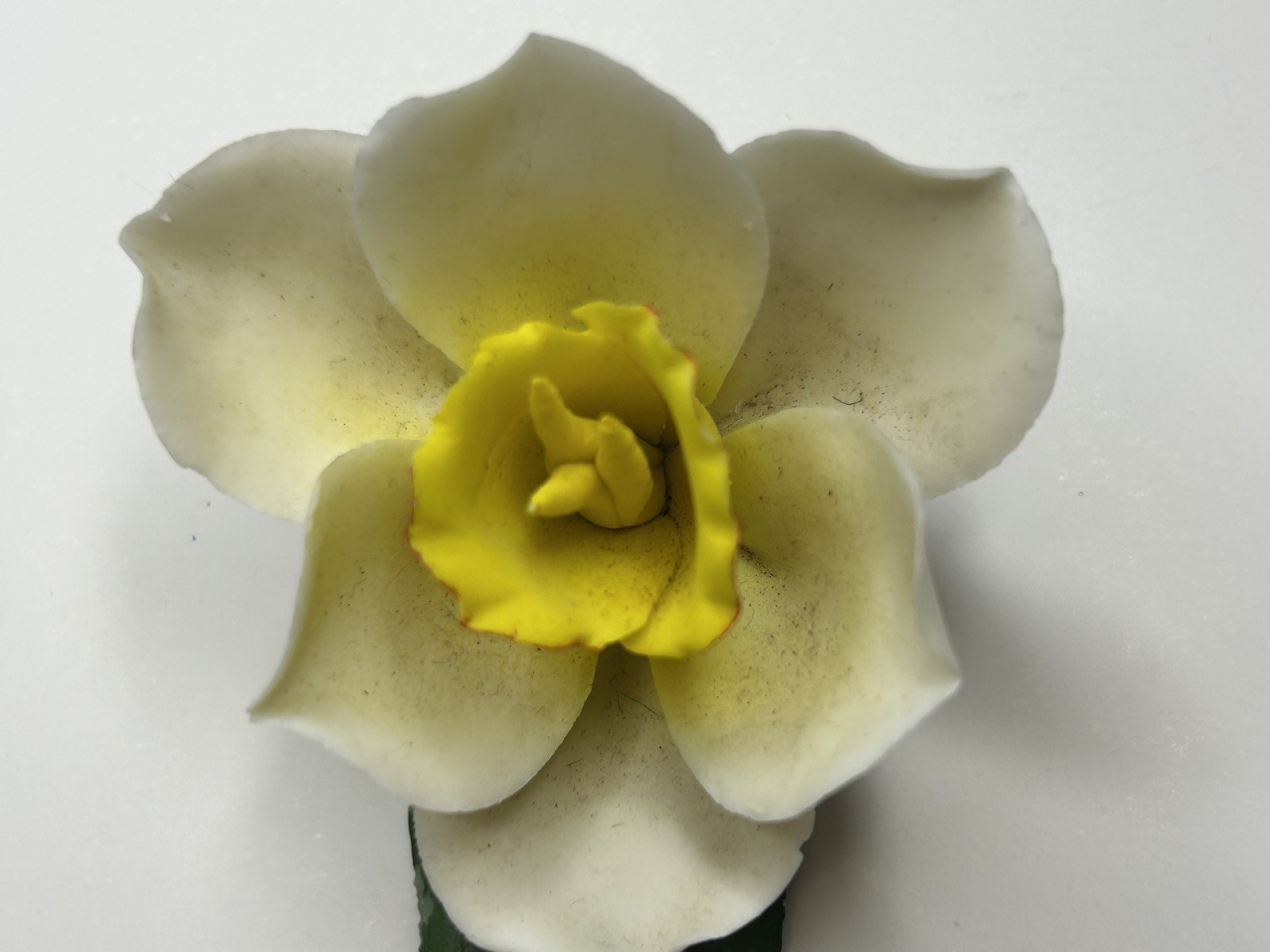 Fabar Capodimonte white & Yellow Porcelain Daffodil Flower Handmade in Italy 4”L
