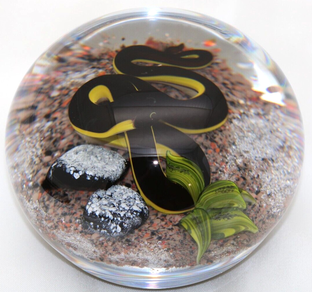 ALLURING Magnum VICTOR TRABUCCO Yellow Bellied Black SNAKE Art Glass PAPERWEIGHT