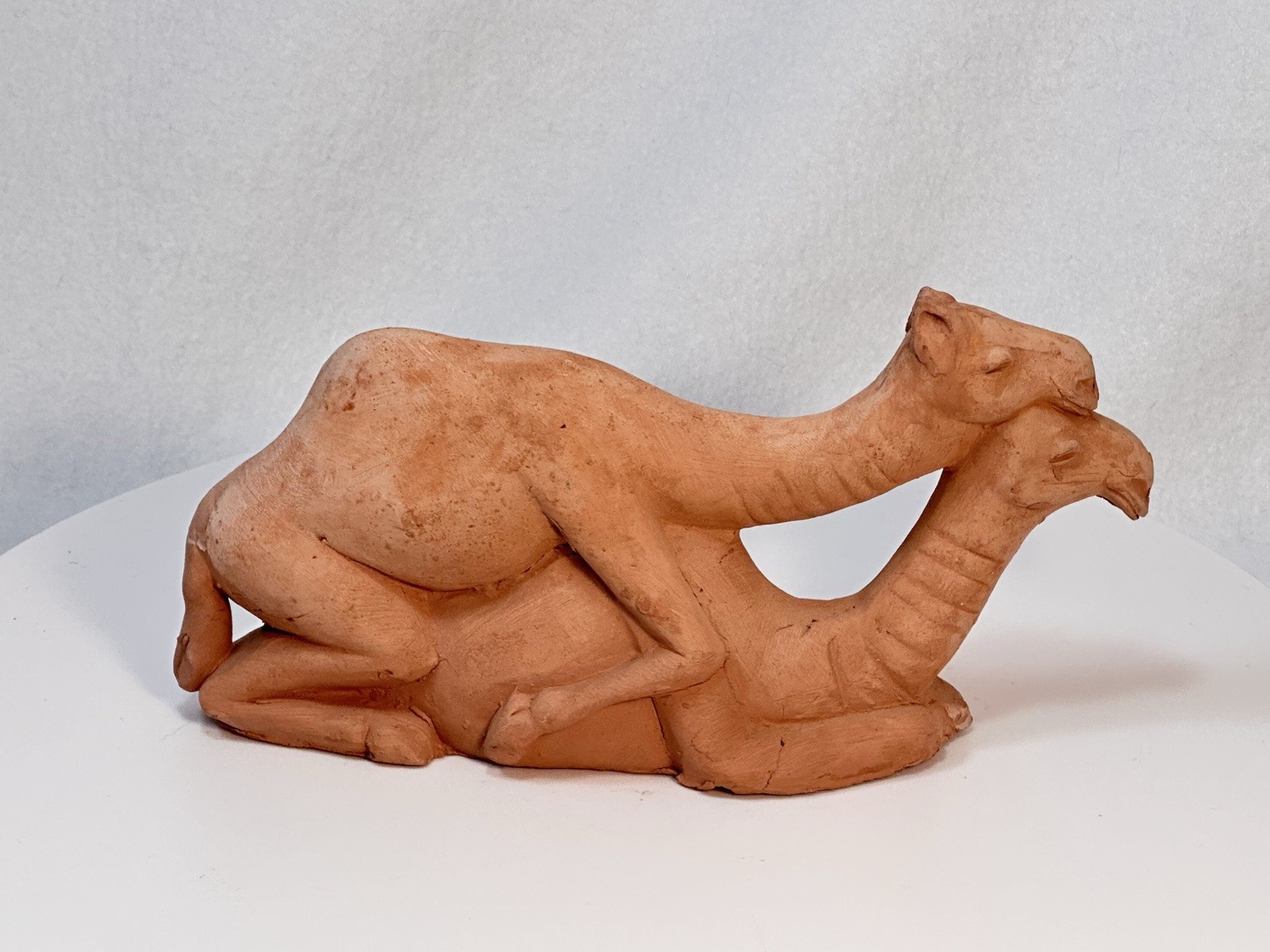 Handmade Terracotta Camels Naughty Art Pottery Sculpture Novelty Nativity