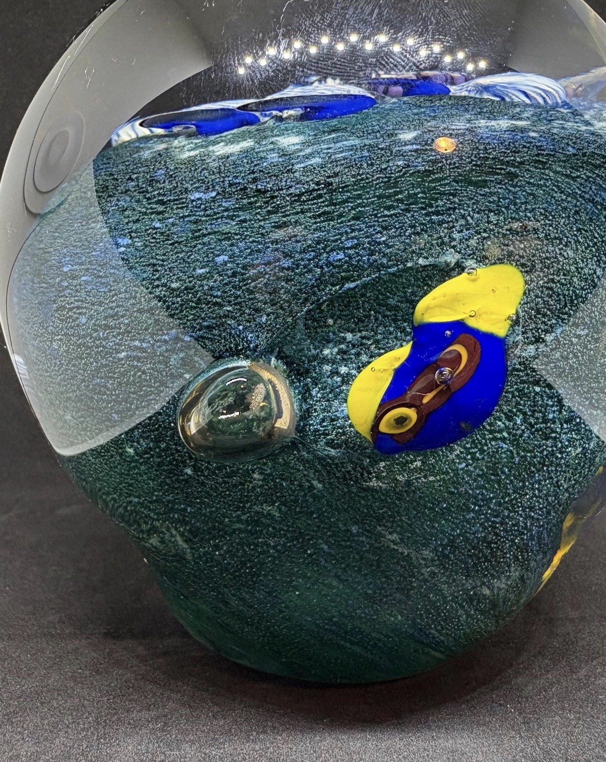 Art Glass Paperweight – Underwater Ocean Orb (Fish) – Heavy / Solid / Handblown