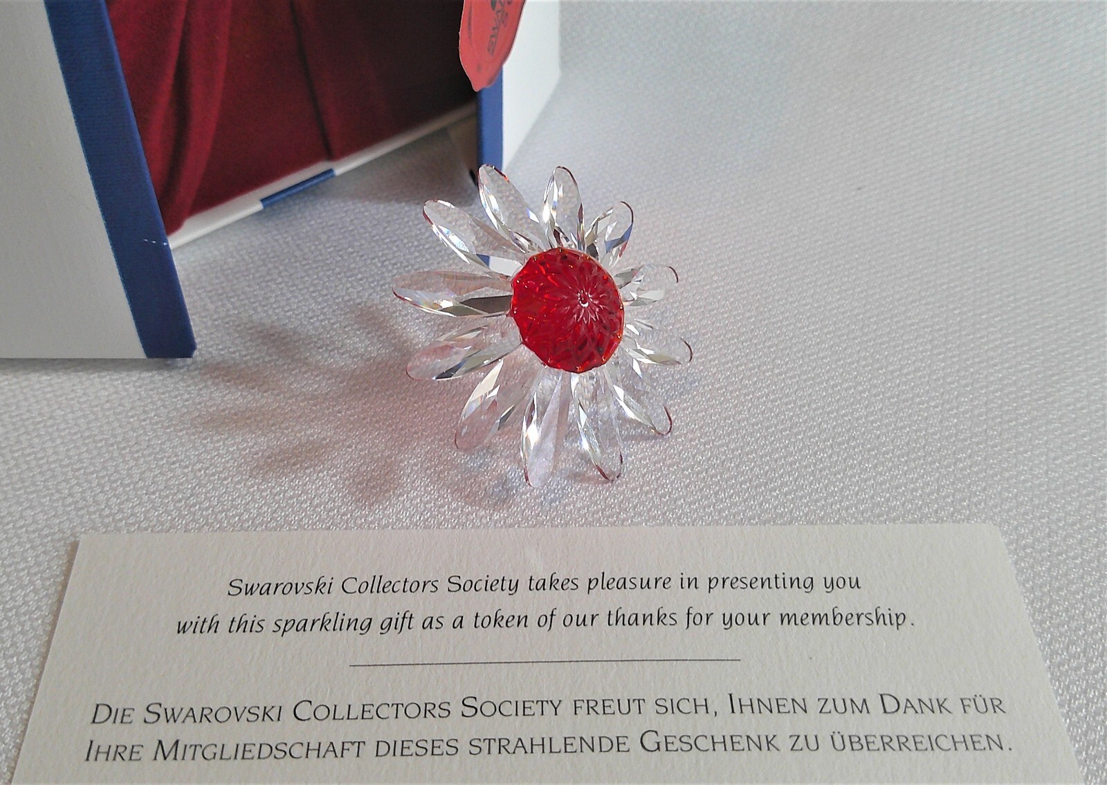 Swarovski SCS Crystal Marguerite Flower / Daisy Red & Clear in Original Box